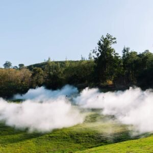 Buy Ticket with Lunch package